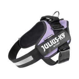 Arnés Julius-K9 IDC® Power, lila - Talla L/1: Contorno del pecho 63 - 85 cm