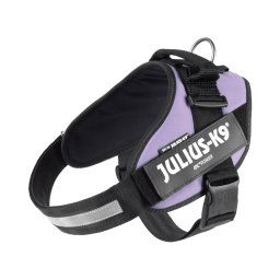 Arnés Julius-K9 IDC® Power, lila - Talla XL/2: Contorno del pecho 71 - 96 cm