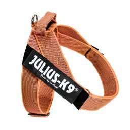 Arnés cinturón Julius-K9 IDC® Color & Grey, naranja/gris - Talla L/1: Contorno del pecho 63 - 85 cm