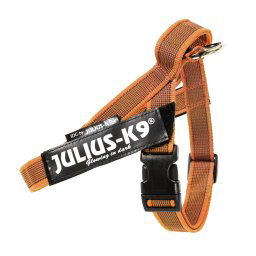 Arnés cinturón Julius-K9 IDC® Color & Grey, naranja/gris - Talla S/Mini: Contorno del pecho 49 - 67 cm