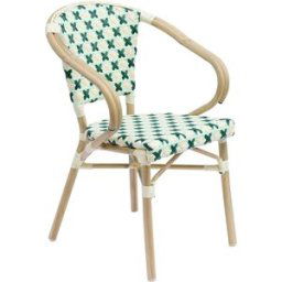 Oviala Silla de jardín de ratán verde y aluminio
