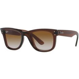Rayban Gafas de sol WAYFARER REVERSE 0RBR0502S Marrón