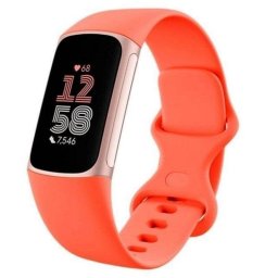 Pulsera de actividad Fitbit Charge 6 AMOLED GPS NFC Coral Resistente al agua