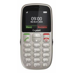 Teléfono Gigaset GL395 Gris 2.2" SIM única IP44 Botones grandes Bluetooth USB Tipo C