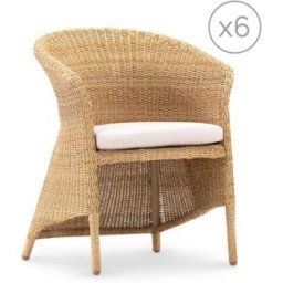 Defora Home Pack de 6 sillas de ratán con cojín