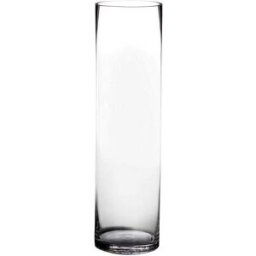 LOLAhome Jarrón cilíndrico de cristal transparente