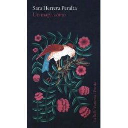 La Bella Varsovia Un Mapa Como