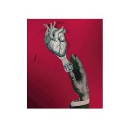 Ya lo dijo Casimiro Parker Un Mundo Para El Hombre De Hojalata