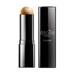 ROUGJ Etolie Stick Corrector Honey Miel