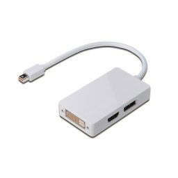 Digitus Cable Divisor de Puerto de Pantalla MiniDP/DP/HDMI/DVI M/H 0.2m