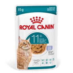Royal Canin Ageing 11+ en gelatina - Pack % - 24 x 85 g