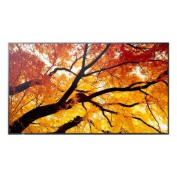 Monitor Sharp MultiSync M432 42,5" UltraHD 4K 8 ms IPS Panel Antirreflejo USB-C