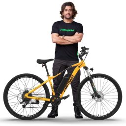 Bicicleta eléctrica EMotorad T-Rex Air 29" 250W 65km LCD Shimano Suspensión Disco