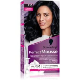 Perfect Mousse Tinte Permanente Para Cabello Tono 210 Icy Black 1 Ud
