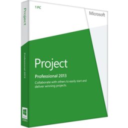 Microsoft Project Professional 2013 (Windows)