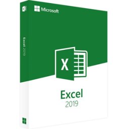 Microsoft Excel 2019 (Windows)