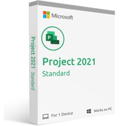 Microsoft Project Standard 2021 (Windows)