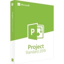 Microsoft Project Standard 2019 (Windows)