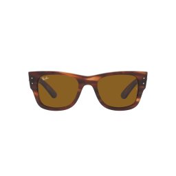 Gafas de sol Ray Ban MEGA WAYFARER 0RB0840S Marrón Talla: 51X21 Marrón