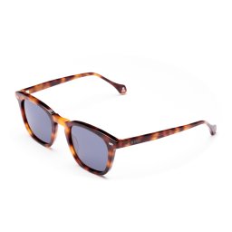 Gafas de sol Scalpers MANHATTAN MANHATTAN Marrón Talla: 50X23 Marrón