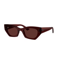 Gafas de sol Ray Ban ZENA 0RB4430 Marrón Talla: 49X22 Marrón