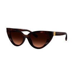 Gafas de sol D&G 0DG4497 Marrón Talla: 52X18 Marrón