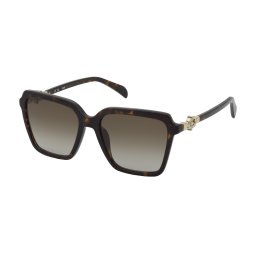 Gafas de sol Tous STOC74 Marrón Talla: 56X17 Marrón