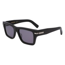 Gafas de sol Salvatore Ferragamo SF2033S Gris Talla: 53X20 Gris