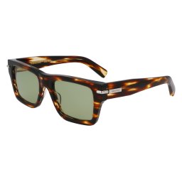 Gafas de sol Salvatore Ferragamo SF2033S Marrón Talla: 53X20 Marrón