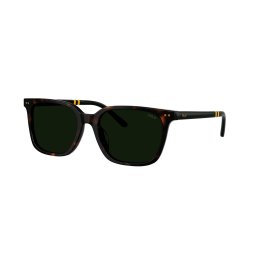 Gafas de sol Polo Ralph Lauren 0PH4235U Marrón Talla: 54X18 Marrón
