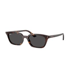 Gafas de sol Ray Ban ZAYA 0RB4456 Marrón Talla: 53X19 Marrón