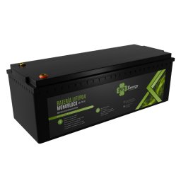 Batería de LiFePO4 25.6V 100Ah PFS Energy - Bluetooth