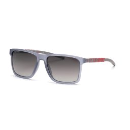 Gafas de sol Plein Sport SSP013 Gris Talla: 58X17 Gris