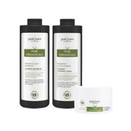 Postquam Pack Cabello Organic Gran Formato