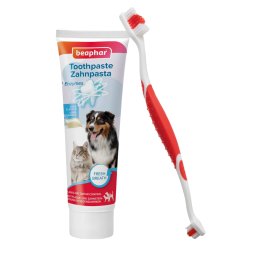 Set para limpieza de dientes beaphar - Cepillo y pasta dental (100 g)