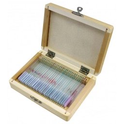 Accesorio para microscopio Bresser 5985000 pack 30 unidades