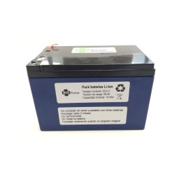 Batería Litio-ion PFS Energy 24V 14.5Ah + Cargador 29.4V 2A