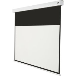 Celexon Motor Professional Plus Pantalla de Proyección con Batería V2.0 320x180cm 16:9