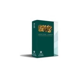 Máximo Potencial Focus Planner Diamond