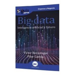 Editatum Guíaburros Big Data