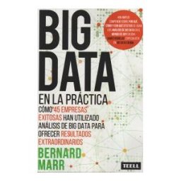 Teell Editorial, S.L. Big Data En La Práctica