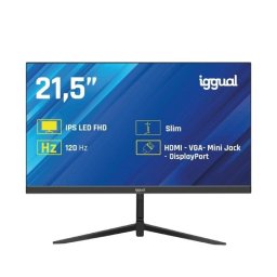 iggual ML21S 21.5" LED IPS Full HD 120Hz VGA HDMI DP