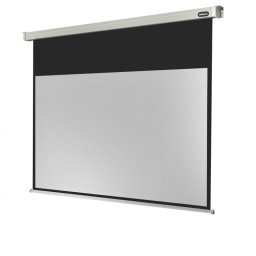 Celexon Electric Professional Pantalla de Proyección Eléctrica 200x113cm