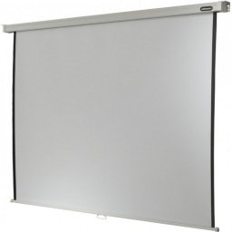 Celexon Professional Pantalla de Proyección Manual 86" 160x160cm