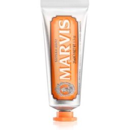The Mints Ginger Pasta De Dientes Sabor Ginger-Mint 25 Ml