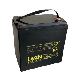 Batería AGM de Carbono-Gel Liven Battery LVDC268-6 GC2 6V 268Ah