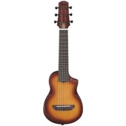 Ibanez AUP10N-OLB Light Brown Sunburst