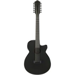 Ibanez AEG1221-BOT Black Out