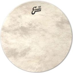 Evans 16" Calftone Bass / Tom