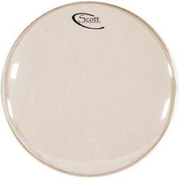 Scott 10" Banjo Head White Blanco